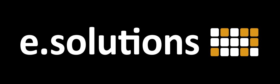e.solutions Company Logo